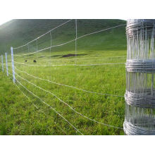 Hot-Dipped Galvanized Knotted Wire Mesh Fence